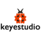 Keyestudio